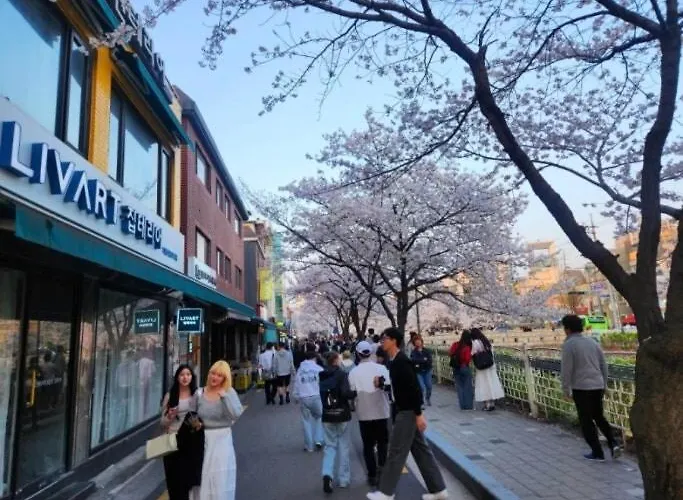 지하철7분,9인가족숙소,동대문 명동 경복궁 10분, 성수,홍대입구 25분,장기짐보관, 성북천 벚꽂축제, 3룸 5배드, 시내중심, 로컬맛집풍부 Apartment