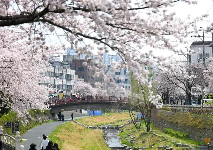 Apartment 지하철7분,9인가족숙소,동대문 명동 경복궁 10분, 성수,홍대입구 25분,장기짐보관, 성북천 벚꽂축제, 3룸 5배드, 시내중심, 로컬맛집풍부