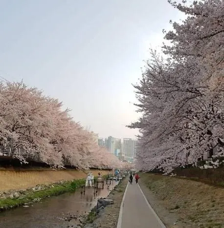 지하철7분,9인가족숙소,동대문 명동 경복궁 10분, 성수,홍대입구 25분,장기짐보관, 성북천 벚꽂축제, 3룸 5배드, 시내중심, 로컬맛집풍부 *