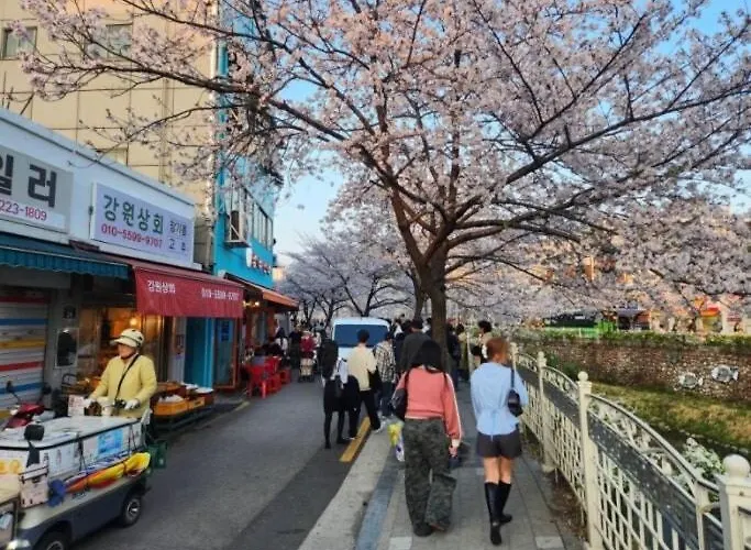 Apartment 지하철7분,9인가족숙소,동대문 명동 경복궁 10분, 성수,홍대입구 25분,장기짐보관, 성북천 벚꽂축제, 3룸 5배드, 시내중심, 로컬맛집풍부 *