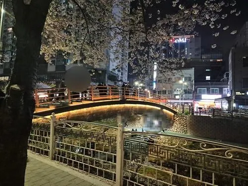 지하철7분,9인가족숙소,동대문 명동 경복궁 10분, 성수,홍대입구 25분,장기짐보관, 성북천 벚꽂축제, 3룸 5배드, 시내중심, 로컬맛집풍부 Apartment Seoul